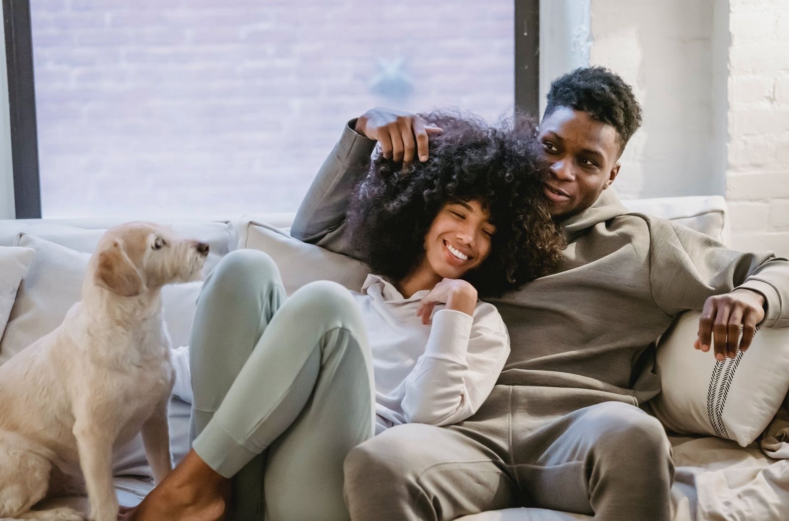 dog on couch with owners