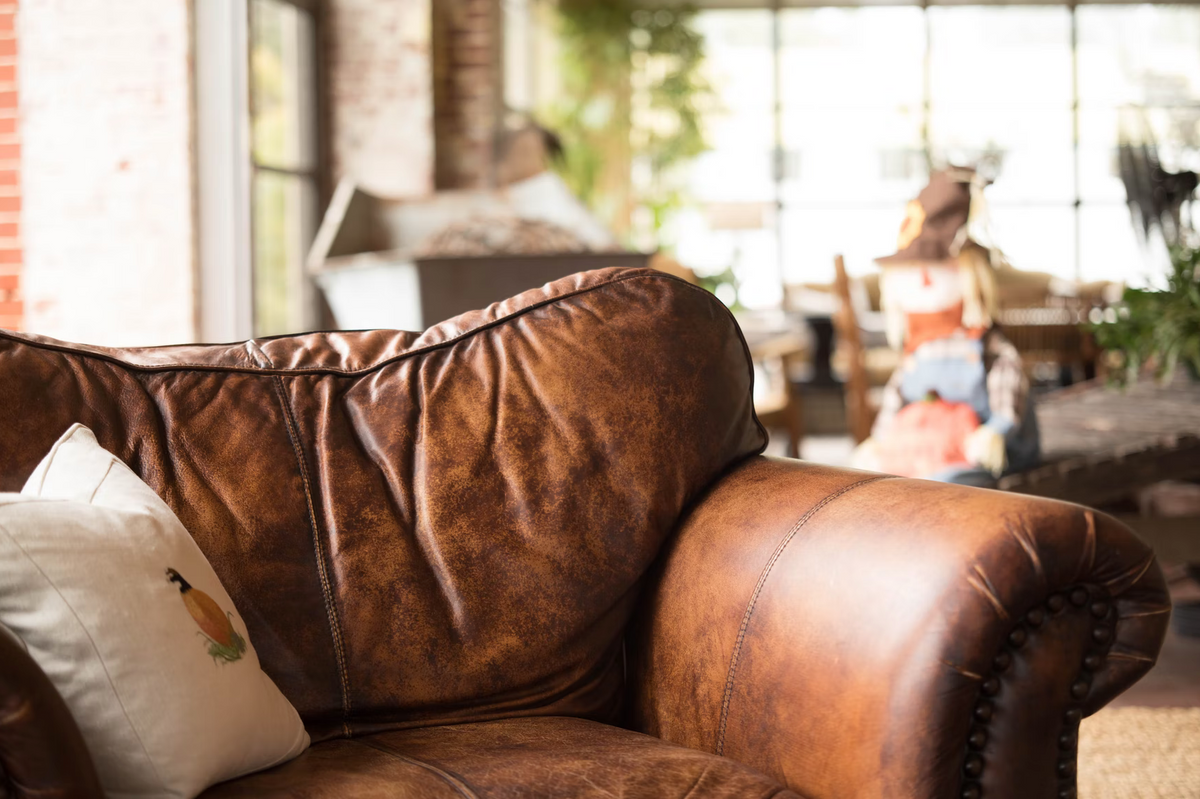 What's the best way to clean a brown suede leather couch that